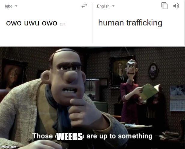 Those weebs... | WEEBS | image tagged in wtf | made w/ Imgflip meme maker