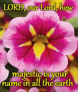 Psalms 8:9 Lord How Majestic Is Your Name In All The Earth | LORD, our Lord, how; majestic is your; name in all the earth | image tagged in bible,holy bible,holy spirit,bible verse,verse,god | made w/ Imgflip meme maker