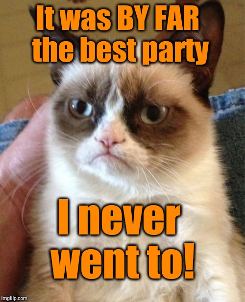 Grumpy Cat Meme | It was BY FAR the best party I never went to! | image tagged in memes,grumpy cat | made w/ Imgflip meme maker