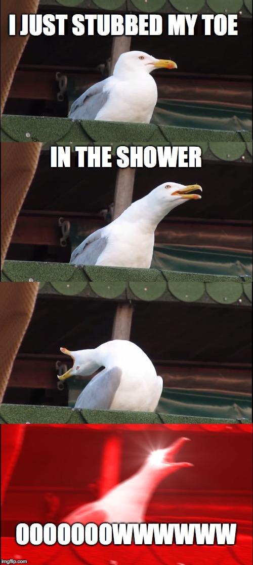 Inhaling Seagull Meme | I JUST STUBBED MY TOE; IN THE SHOWER; OOOOOOOWWWWWW | image tagged in memes,inhaling seagull | made w/ Imgflip meme maker