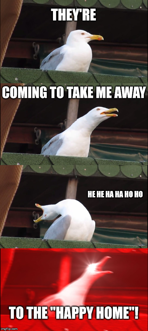 Inhaling Seagull Meme | THEY'RE COMING TO TAKE ME AWAY HE HE HA HA HO HO TO THE "HAPPY HOME"! | image tagged in memes,inhaling seagull | made w/ Imgflip meme maker
