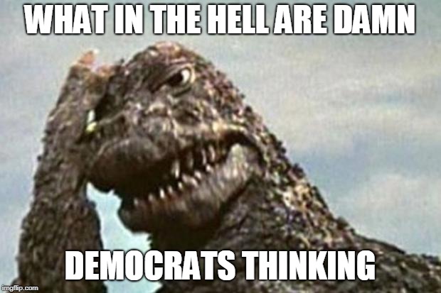 Godzilla Facepalm | WHAT IN THE HELL ARE DAMN; DEMOCRATS THINKING | image tagged in godzilla facepalm | made w/ Imgflip meme maker