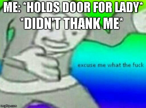 Excuse me wtf | ME: *HOLDS DOOR FOR LADY*; *DIDN'T THANK ME* | image tagged in excuse me wtf | made w/ Imgflip meme maker