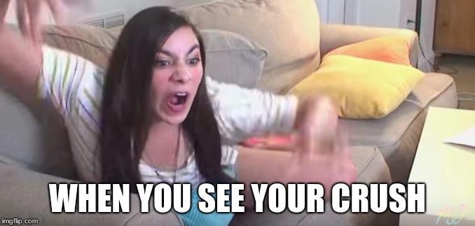 Lawl | WHEN YOU SEE YOUR CRUSH | image tagged in lawl | made w/ Imgflip meme maker