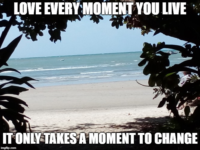 Cape Tribulation | LOVE EVERY MOMENT YOU LIVE; IT ONLY TAKES A MOMENT TO CHANGE | image tagged in beautiful | made w/ Imgflip meme maker