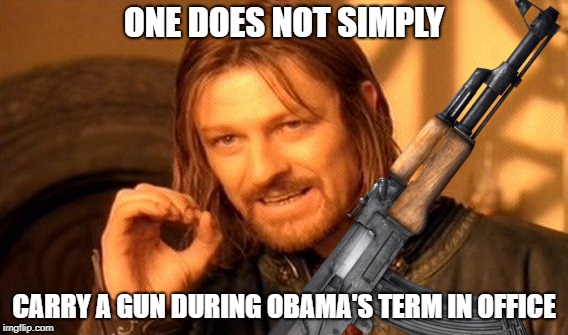 Obama in Middle Earth | ONE DOES NOT SIMPLY; CARRY A GUN DURING OBAMA'S TERM IN OFFICE | image tagged in funny,political,obama,gun | made w/ Imgflip meme maker