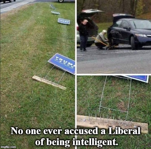 No one ever accused a Liberal of being intelligent. | No one ever accused a Liberal of being intelligent. | image tagged in libtards,retards,low iq voters,liberals | made w/ Imgflip meme maker