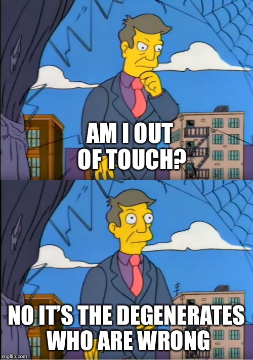 Skinner Out Of Touch | AM I OUT OF TOUCH? NO IT’S THE DEGENERATES WHO ARE WRONG | image tagged in skinner out of touch | made w/ Imgflip meme maker