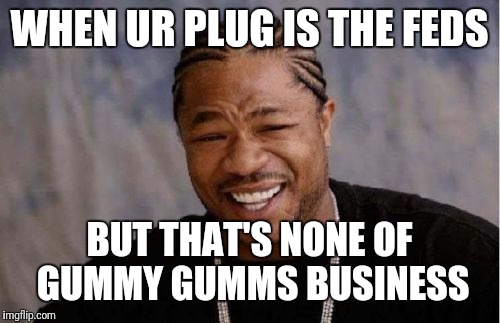 Yo Dawg Heard You | WHEN UR PLUG IS THE FEDS; BUT THAT'S NONE OF GUMMY GUMMS BUSINESS | image tagged in memes,yo dawg heard you | made w/ Imgflip meme maker