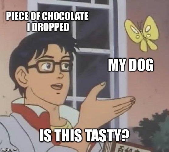 Is This A Pigeon | PIECE OF CHOCOLATE I DROPPED; MY DOG; IS THIS TASTY? | image tagged in memes,is this a pigeon,dogs,chocolate,food,dog | made w/ Imgflip meme maker