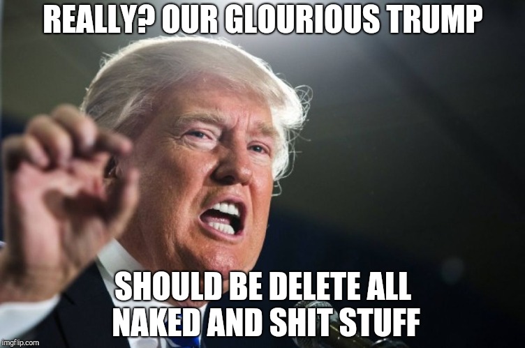 donald trump | REALLY? OUR GLOURIOUS TRUMP; SHOULD BE DELETE ALL NAKED AND SHIT STUFF | image tagged in donald trump | made w/ Imgflip meme maker