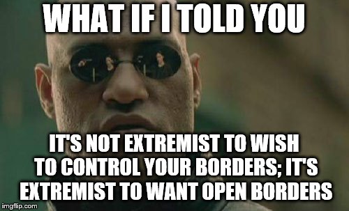 Matrix Morpheus | WHAT IF I TOLD YOU; IT'S NOT EXTREMIST TO WISH TO CONTROL YOUR BORDERS; IT'S EXTREMIST TO WANT OPEN BORDERS | image tagged in memes,matrix morpheus | made w/ Imgflip meme maker
