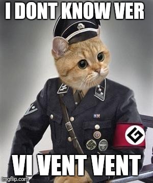 Grammar Nazi Cat | I DONT KNOW VER VI VENT VENT | image tagged in grammar nazi cat | made w/ Imgflip meme maker