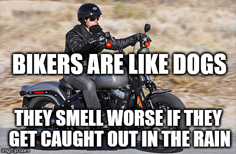Biker | BIKERS ARE LIKE DOGS; THEY SMELL WORSE IF THEY GET CAUGHT OUT IN THE RAIN | image tagged in bikers,harley davidson | made w/ Imgflip meme maker