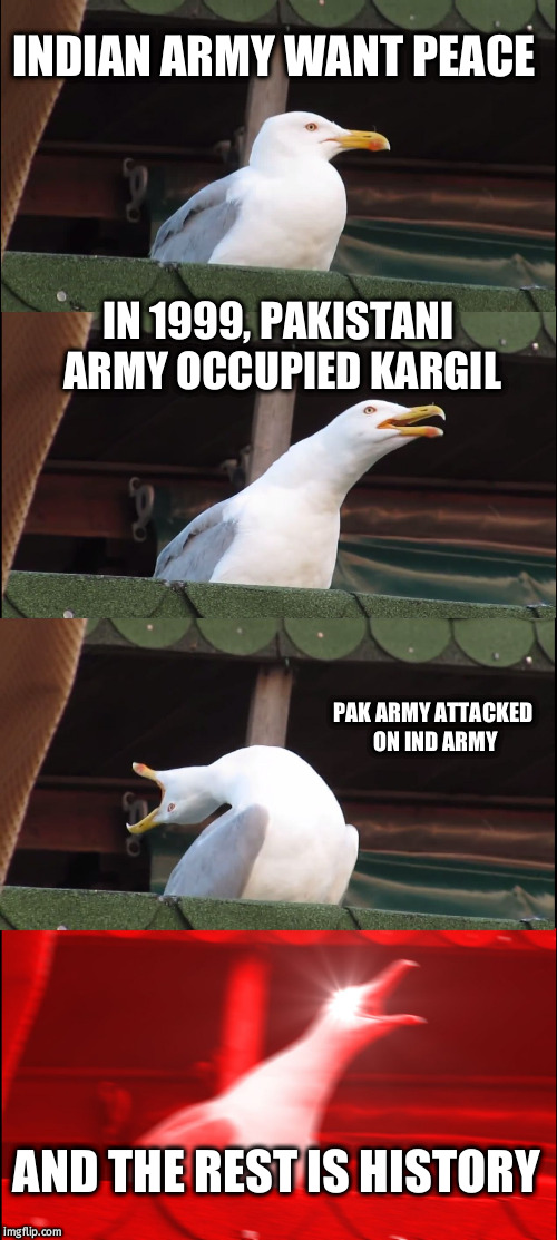 Inhaling Seagull | INDIAN ARMY WANT PEACE; IN 1999, PAKISTANI ARMY OCCUPIED KARGIL; PAK ARMY ATTACKED ON IND ARMY; AND THE REST IS HISTORY | image tagged in memes,inhaling seagull | made w/ Imgflip meme maker