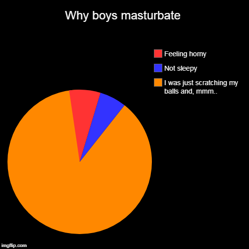 Why boys masturbate | I was just scratching my balls and, mmm.., Not sleepy, Feeling horny | image tagged in funny,pie charts | made w/ Imgflip chart maker