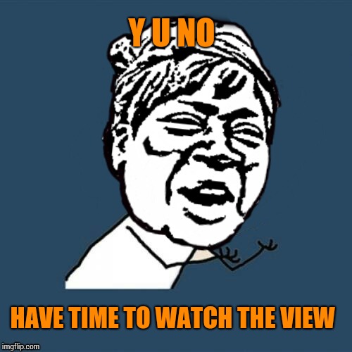 y u no have time for that | Y U NO HAVE TIME TO WATCH THE VIEW | image tagged in y u no have time for that | made w/ Imgflip meme maker