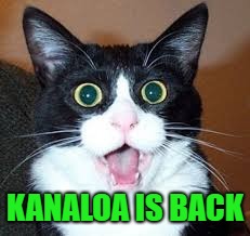 KANALOA IS BACK | made w/ Imgflip meme maker