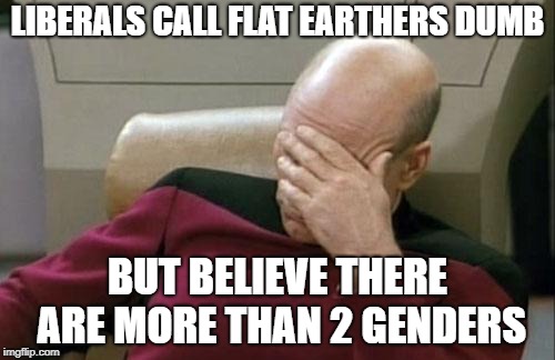 Oh The Irony | LIBERALS CALL FLAT EARTHERS DUMB; BUT BELIEVE THERE ARE MORE THAN 2 GENDERS | image tagged in memes,captain picard facepalm,flat earth,flat earthers,2 genders,dumb | made w/ Imgflip meme maker