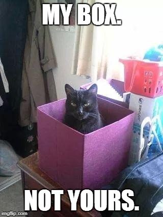 Okay...... you can have the box..... | image tagged in funny,memes,cat | made w/ Imgflip meme maker