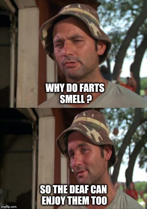 Bill Murray bad joke | WHY DO FARTS SMELL ? SO THE DEAF CAN ENJOY THEM TOO | image tagged in bill murray bad joke | made w/ Imgflip meme maker