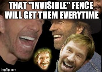 Chuck Norris LOL | THAT "INVISIBLE" FENCE WILL GET THEM EVERYTIME | image tagged in chuck norris lol | made w/ Imgflip meme maker