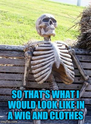 Waiting Skeleton Meme | SO THAT'S WHAT I WOULD LOOK LIKE IN A WIG AND CLOTHES | image tagged in memes,waiting skeleton | made w/ Imgflip meme maker