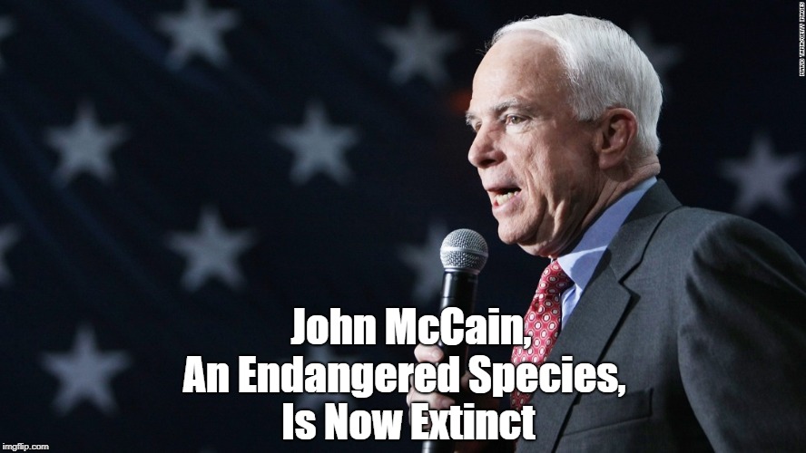 "John McCain, An Endangered Species" | John McCain, An Endangered Species, Is Now Extinct | image tagged in john mccain,trump,civility | made w/ Imgflip meme maker