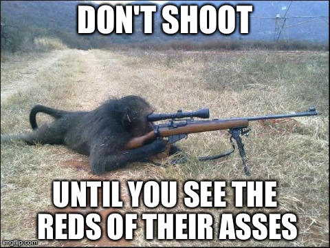 DON'T SHOOT UNTIL YOU SEE THE REDS OF THEIR ASSES | made w/ Imgflip meme maker