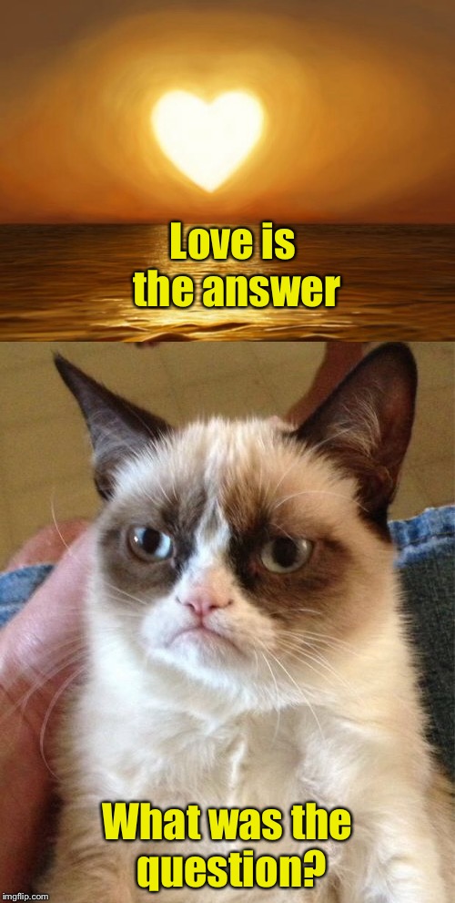 Grumpy Cat didn’t ask | Love is the answer; What was the question? | image tagged in memes,love,grumpy cat | made w/ Imgflip meme maker