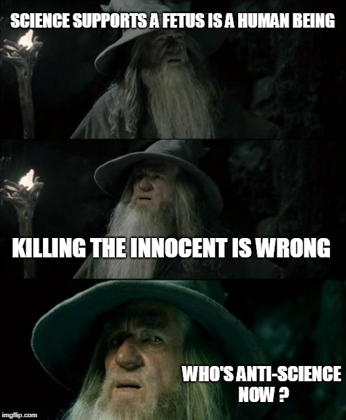 Confused Gandalf Meme | SCIENCE SUPPORTS A FETUS IS A HUMAN BEING KILLING THE INNOCENT IS WRONG WHO'S ANTI-SCIENCE NOW ? | image tagged in memes,confused gandalf | made w/ Imgflip meme maker
