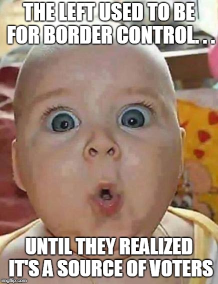 Super-surprised baby | THE LEFT USED TO BE FOR BORDER CONTROL. . . UNTIL THEY REALIZED IT'S A SOURCE OF VOTERS | image tagged in super-surprised baby | made w/ Imgflip meme maker