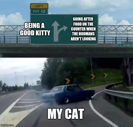 Oh no a cat meme  | BEING A GOOD KITTY; GOING AFTER FOOD ON THE COUNTER WHEN THE HOOMANS AREN'T LOOKING; MY CAT | image tagged in memes,left exit 12 off ramp,cats,funny | made w/ Imgflip meme maker