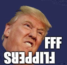 FFF Flippers | FFF; FLIPPERS | image tagged in politics,funny,political meme,democrats,republicans | made w/ Imgflip meme maker