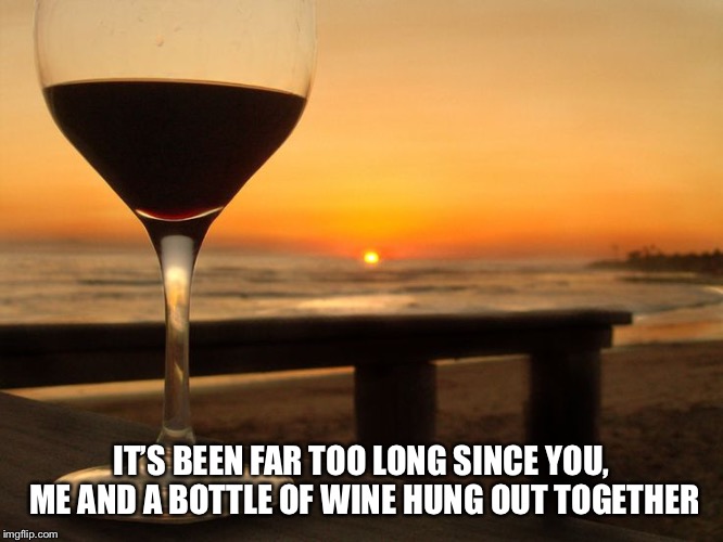 wine glass on beach | IT’S BEEN FAR TOO LONG SINCE YOU, ME AND A BOTTLE OF WINE HUNG OUT TOGETHER | image tagged in wine glass on beach | made w/ Imgflip meme maker