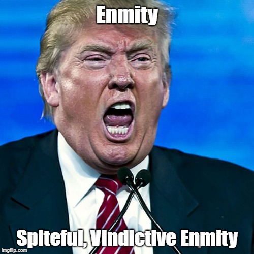 Enmity Spiteful, Vindictive Enmity | made w/ Imgflip meme maker