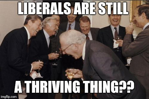 Laughing Men In Suits | LIBERALS ARE STILL; A THRIVING THING?? | image tagged in memes,laughing men in suits | made w/ Imgflip meme maker