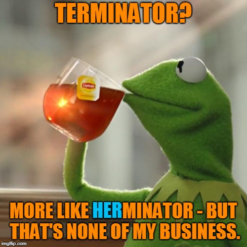 But That's None Of My Business Meme | TERMINATOR? MORE LIKE HERMINATOR - BUT THAT'S NONE OF MY BUSINESS. HER | image tagged in memes,but thats none of my business,kermit the frog | made w/ Imgflip meme maker