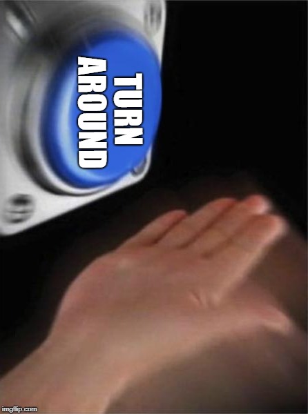 Blank Nut Button Meme | TURN AROUND | image tagged in memes,blank nut button | made w/ Imgflip meme maker