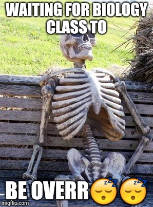 Waiting Skeleton | WAITING FOR BIOLOGY CLASS TO; BE OVERR😴😴 | image tagged in memes,waiting skeleton | made w/ Imgflip meme maker