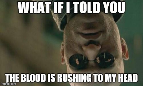 Matrix Morpheus Meme | WHAT IF I TOLD YOU THE BLOOD IS RUSHING TO MY HEAD | image tagged in memes,matrix morpheus | made w/ Imgflip meme maker