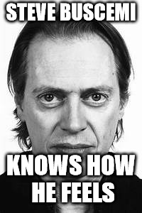 Steve Buscemi | STEVE BUSCEMI KNOWS HOW HE FEELS | image tagged in steve buscemi | made w/ Imgflip meme maker