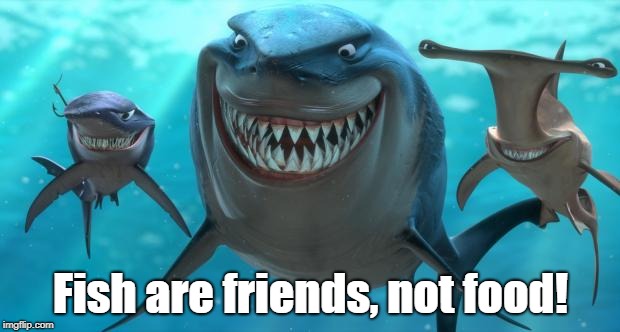 Fish are friends not food | Fish are friends, not food! | image tagged in fish are friends not food | made w/ Imgflip meme maker