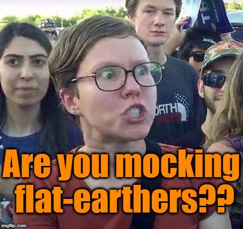 foggy | Are you mocking flat-earthers?? | image tagged in triggered feminist | made w/ Imgflip meme maker