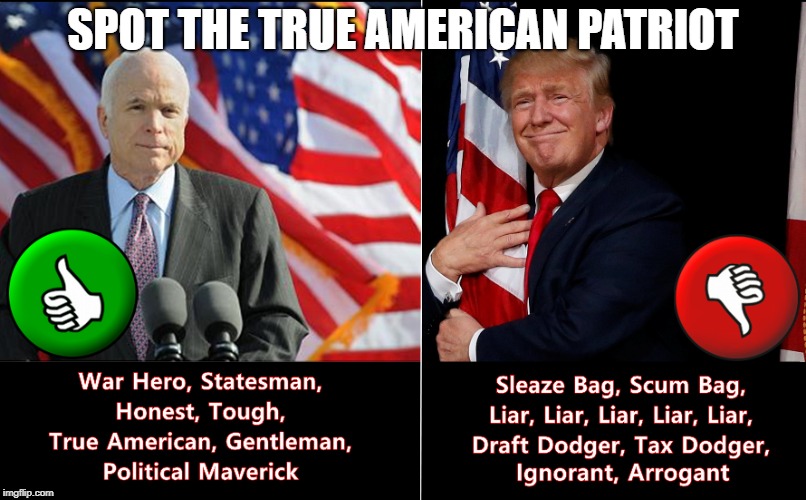 Spot The True American Patriot. (I've added a few clues to help you) | SPOT THE TRUE AMERICAN PATRIOT | image tagged in donald trump,john mccain,trump | made w/ Imgflip meme maker