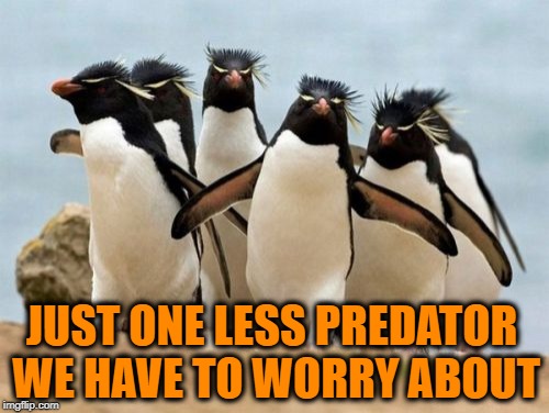 Penguin Gang Meme | JUST ONE LESS PREDATOR WE HAVE TO WORRY ABOUT | image tagged in memes,penguin gang | made w/ Imgflip meme maker