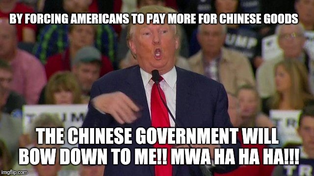 Trump Retard | BY FORCING AMERICANS TO PAY MORE FOR CHINESE GOODS THE CHINESE GOVERNMENT WILL BOW DOWN TO ME!! MWA HA HA HA!!! | image tagged in trump retard | made w/ Imgflip meme maker