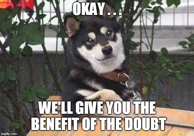 Cool dog | OKAY . . . WE'LL GIVE YOU THE BENEFIT OF THE DOUBT | image tagged in cool dog | made w/ Imgflip meme maker