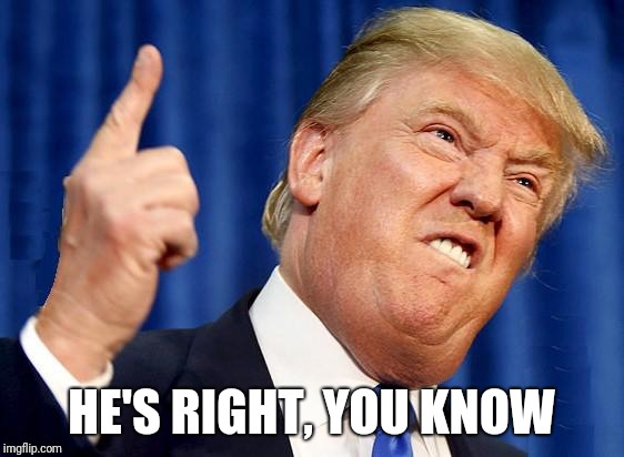 Trump pointing up | HE'S RIGHT, YOU KNOW | image tagged in trump pointing up | made w/ Imgflip meme maker
