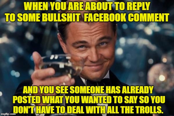 Leonardo Dicaprio Cheers | WHEN YOU ARE ABOUT TO REPLY TO SOME BULLSHIT  FACEBOOK COMMENT; AND YOU SEE SOMEONE HAS ALREADY POSTED WHAT YOU WANTED TO SAY SO YOU DON'T HAVE TO DEAL WITH ALL THE TROLLS. | image tagged in memes,leonardo dicaprio cheers | made w/ Imgflip meme maker